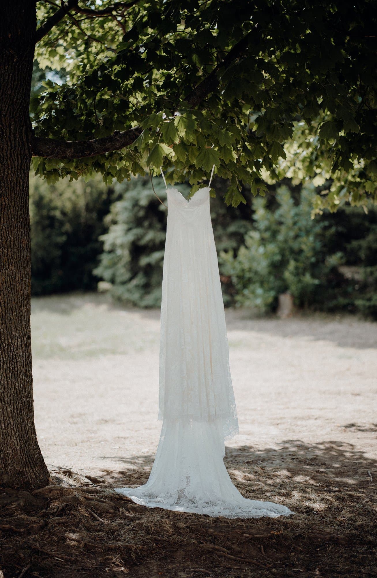 Country Heritage Park — wedding photo 11