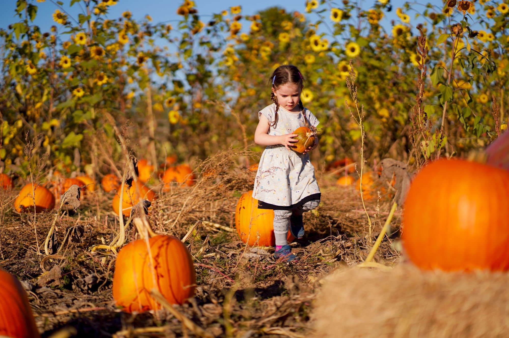Fall Family Special