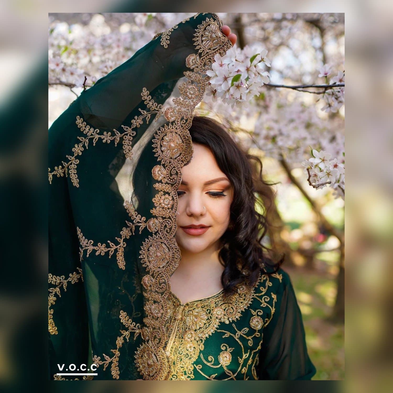 1 Hour Photography Collection
