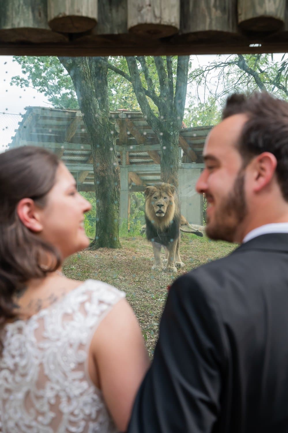 Wedding — Tori Trzaska