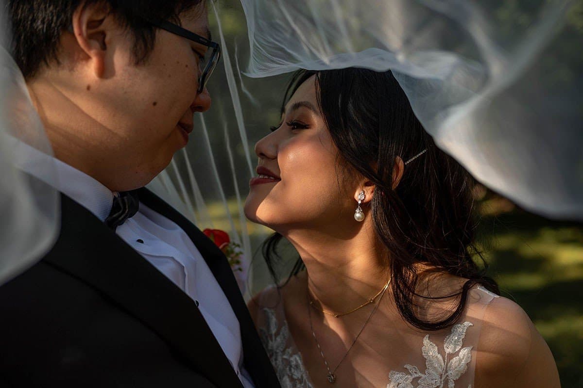 Wedding — Lily G