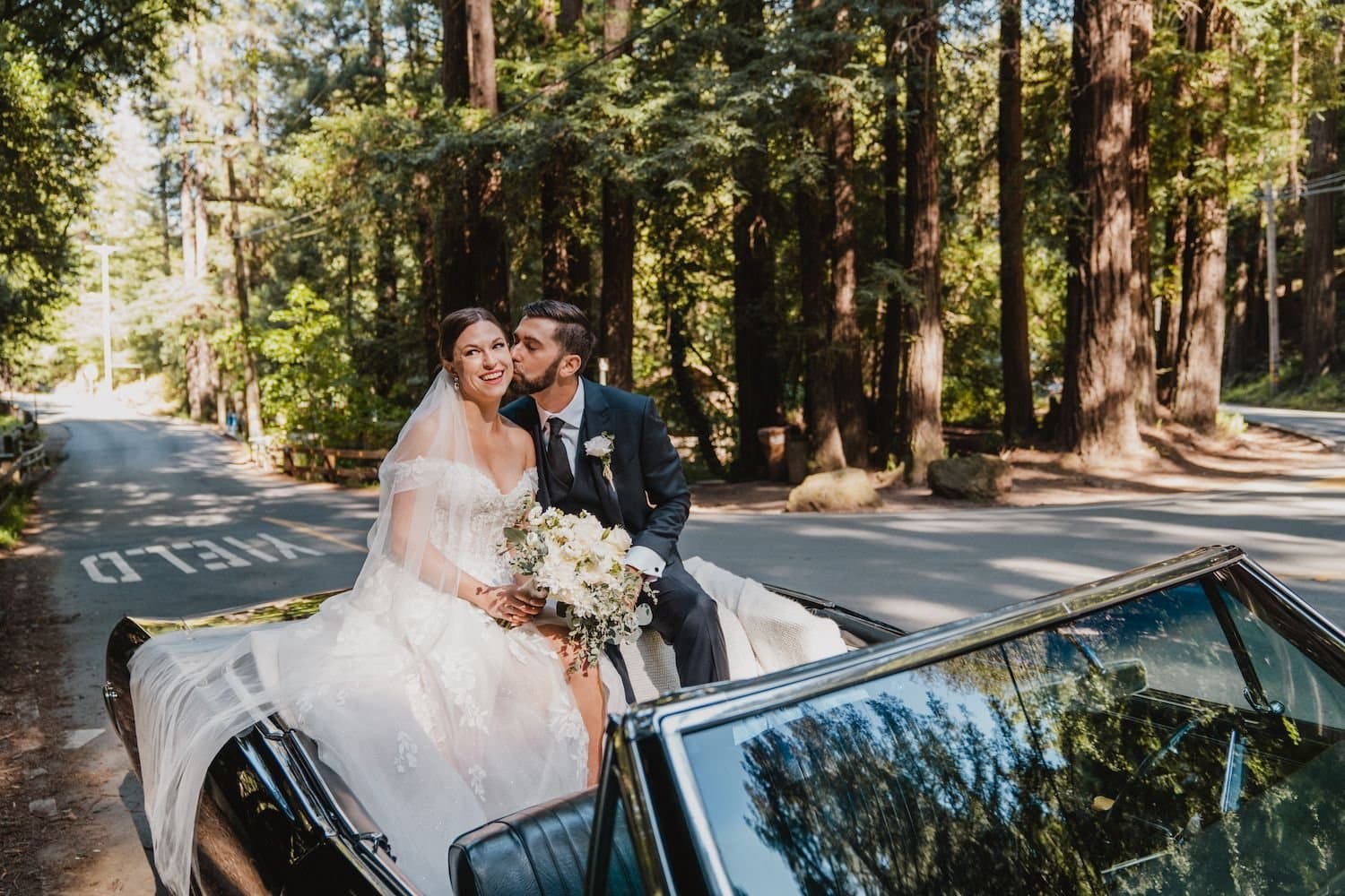 Destination Wedding Collection