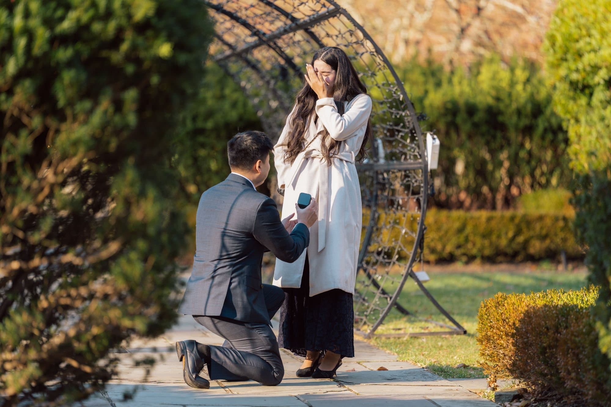 Proposal