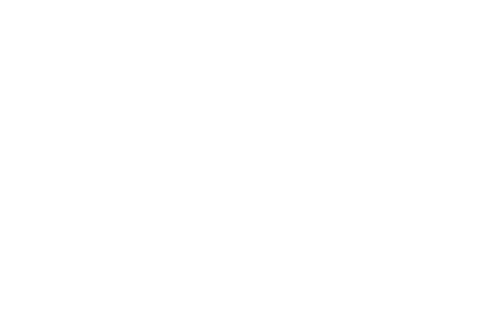 DanaDane Envisions