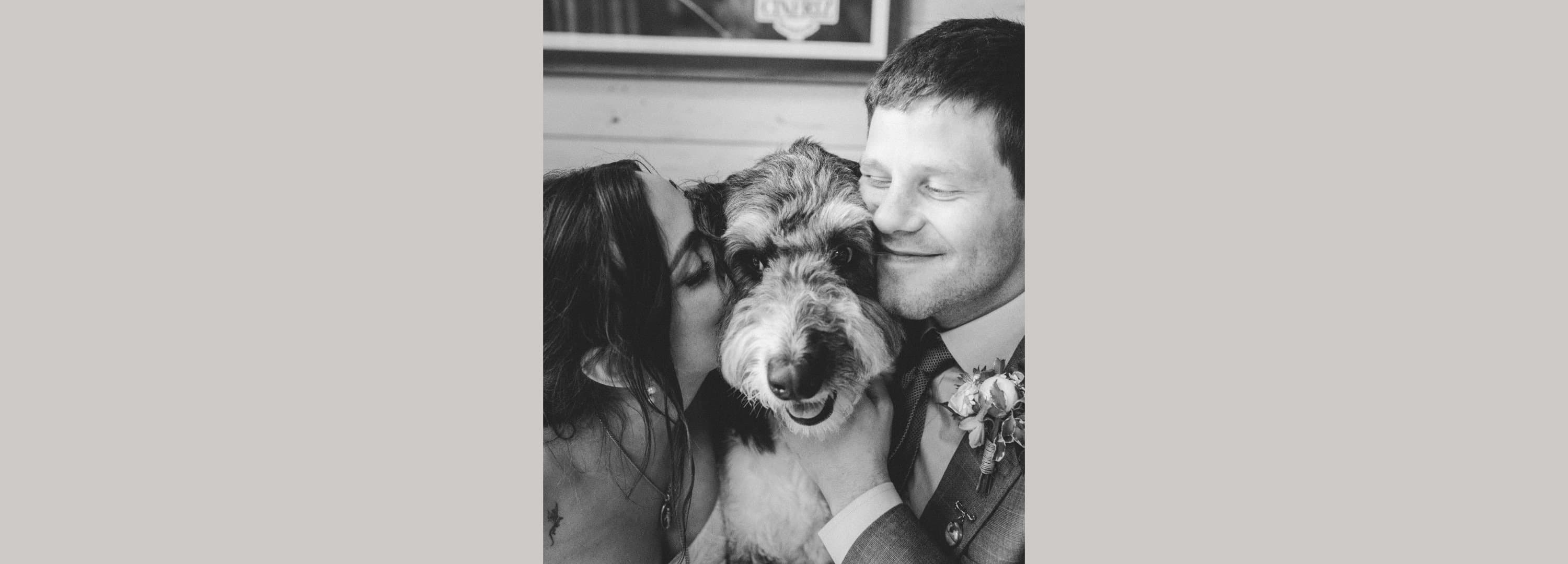 Wedding — Nicole & Ryan (Testimonial on The Knot)