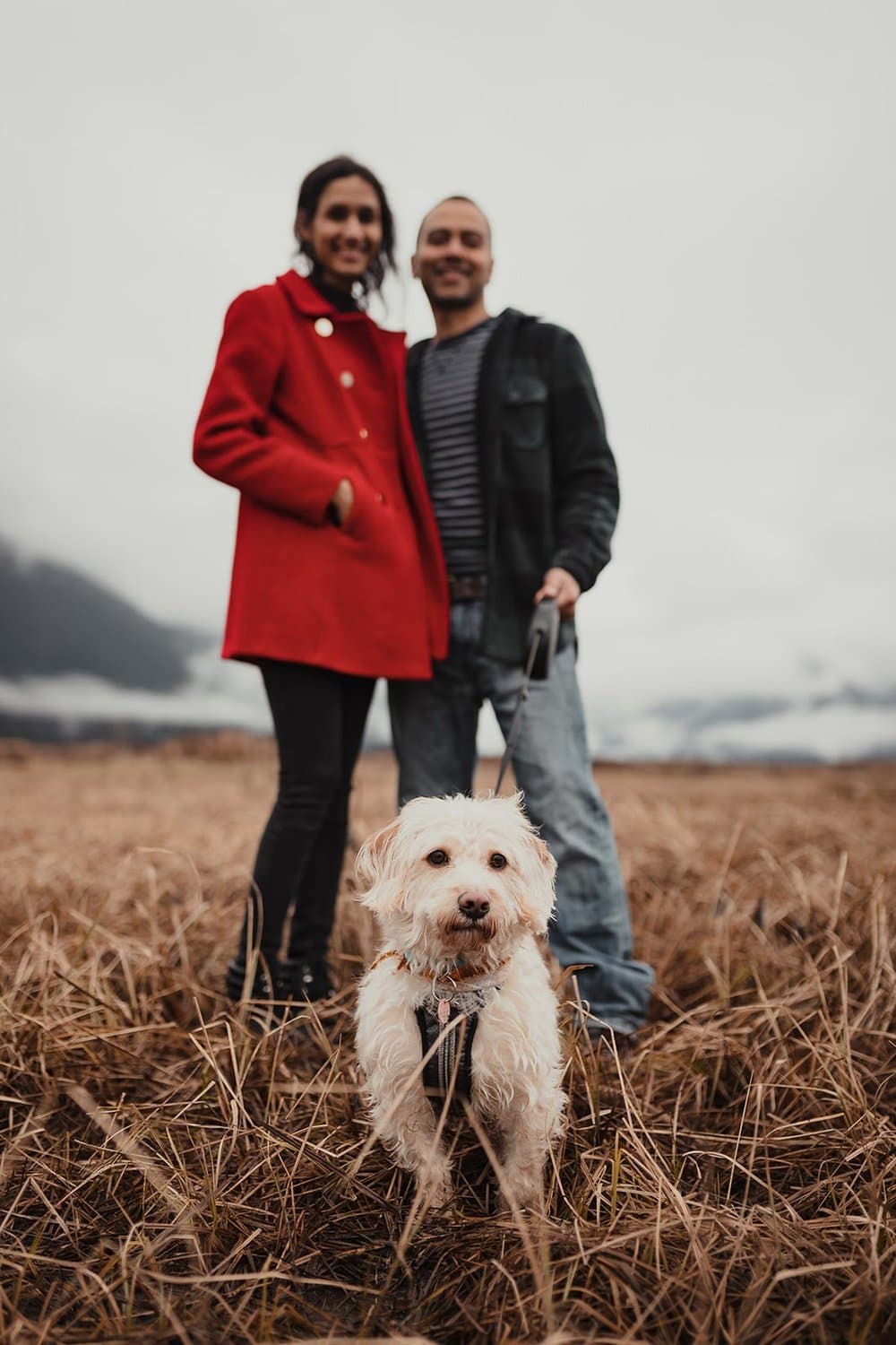 Wedding — Petrina D'Souza