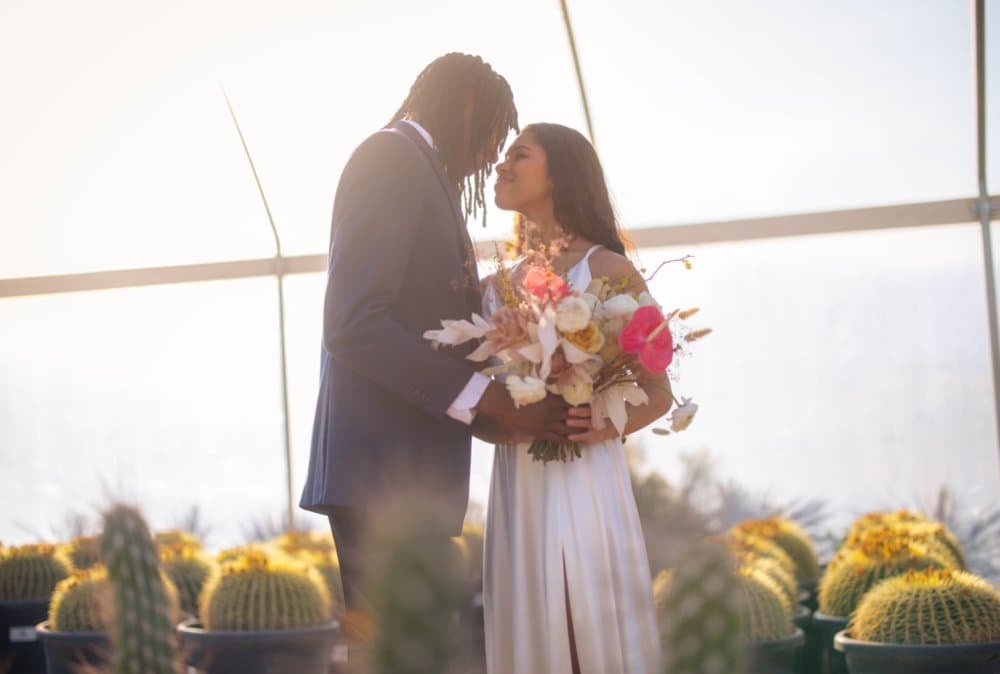 Wedding Day Collection (8 Hours) by Sinbad Media