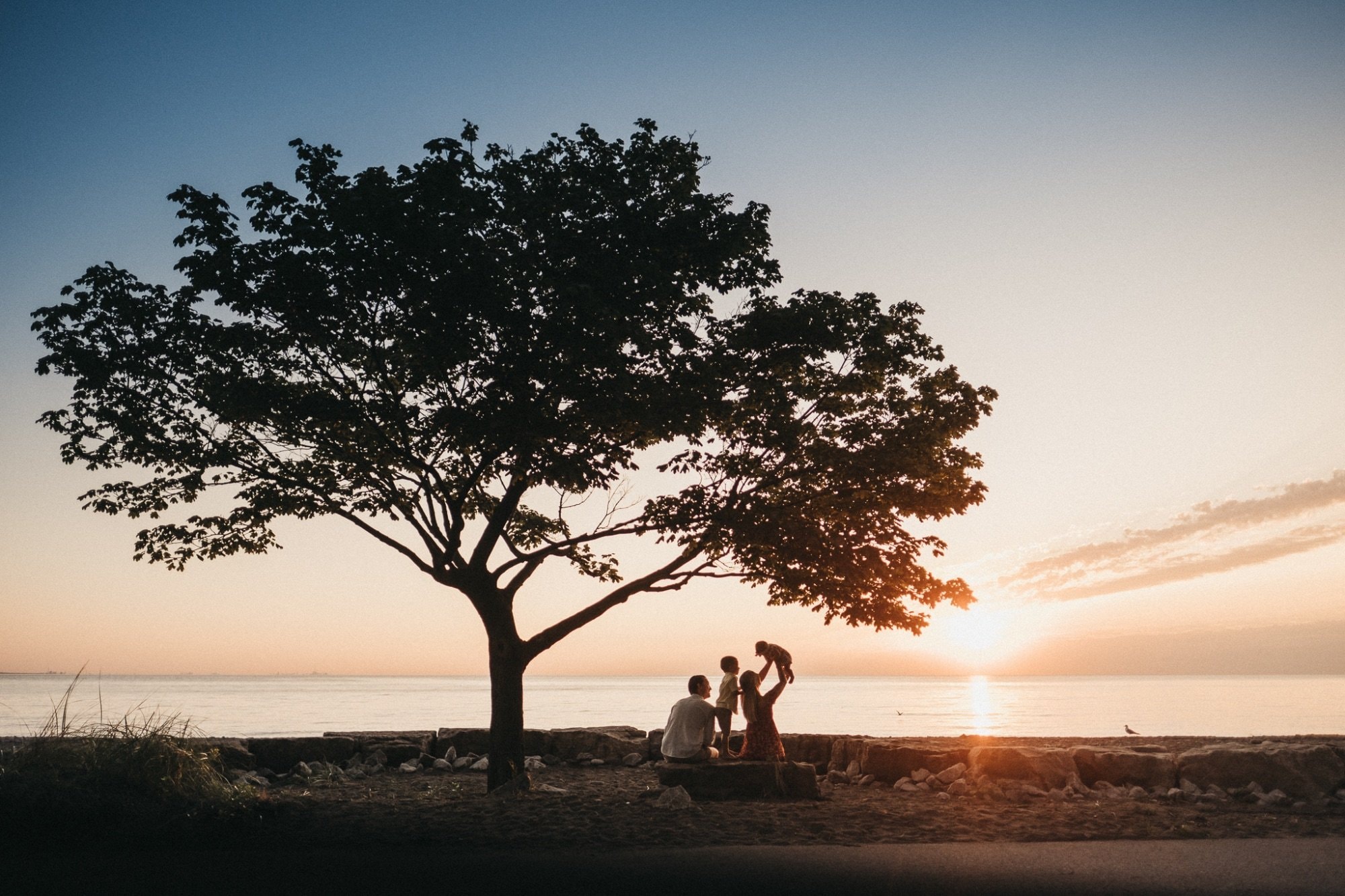Adam Grant Photography wedding photograph — photo 2