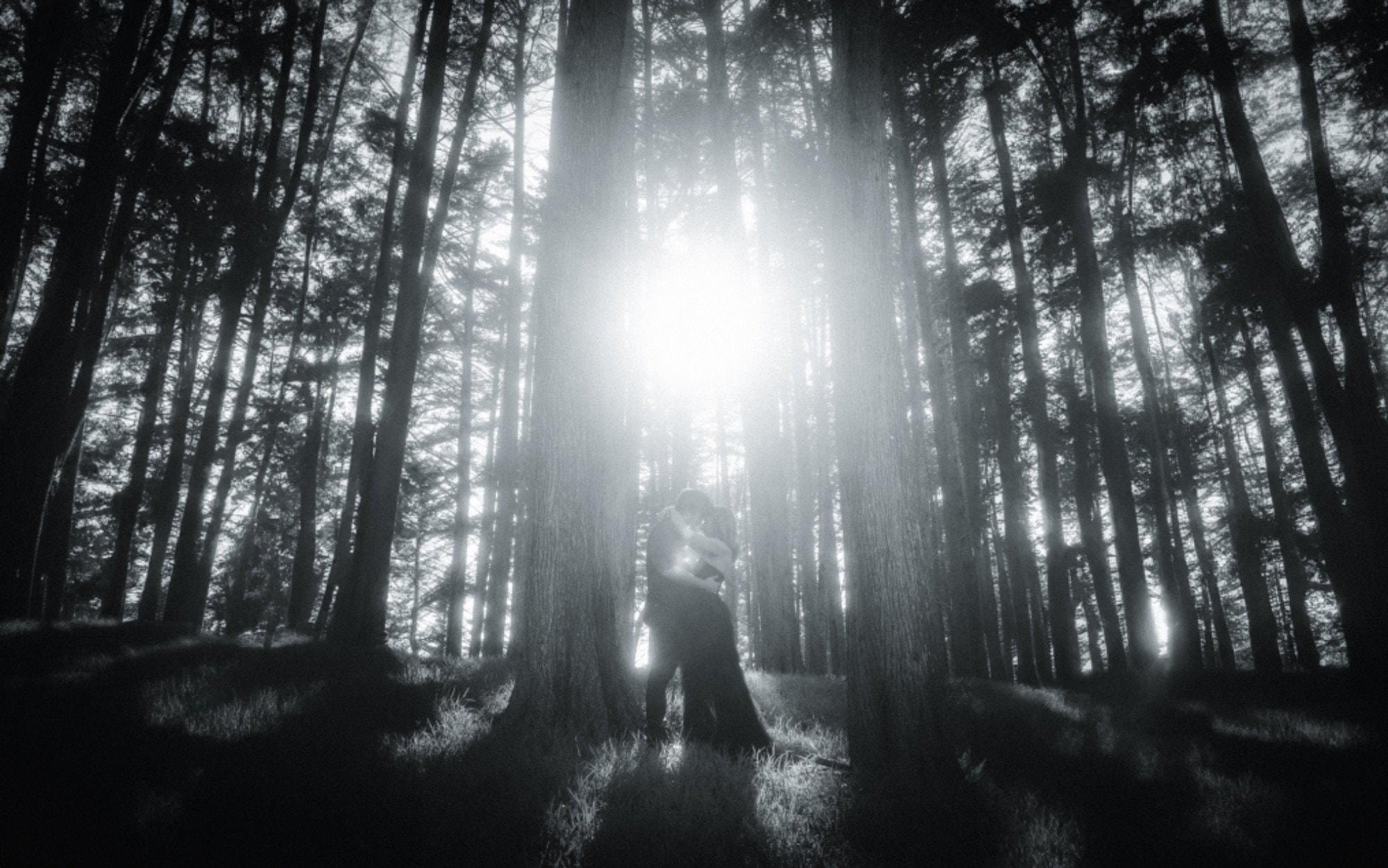 Shane O'Neill Wedding Photography wedding photograph — photo 8