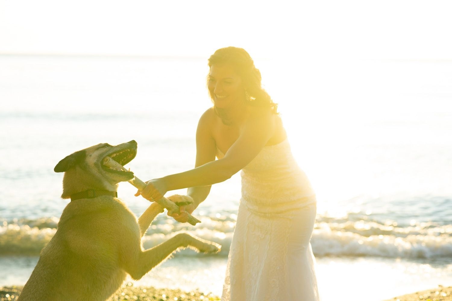 John Hong Photography wedding photograph — photo 12