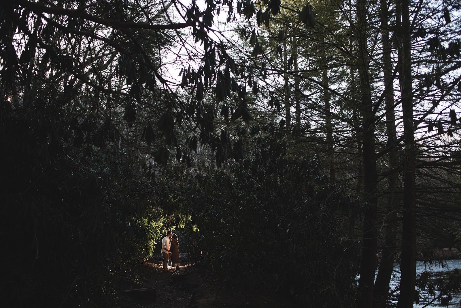 Indie Elephant wedding photograph — photo 11