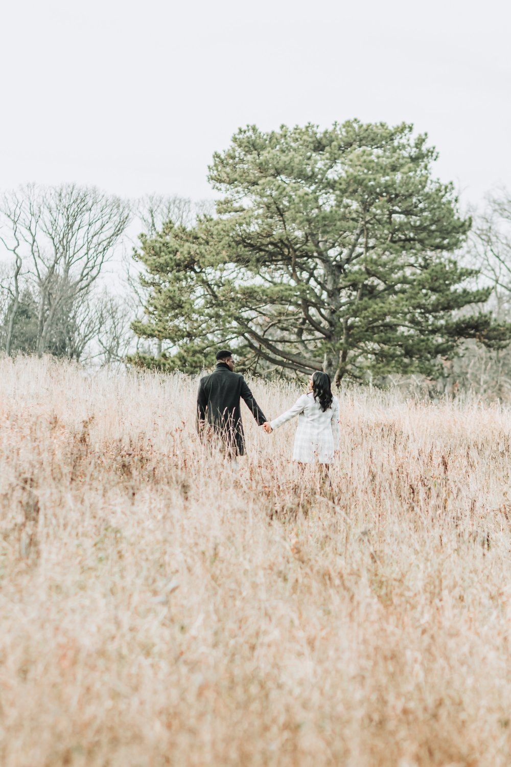 Pics So Perfect wedding photograph — photo 11