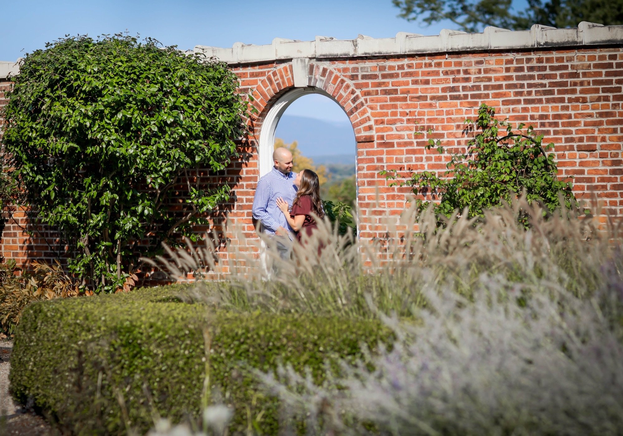 Above Weddings wedding photograph — photo 4