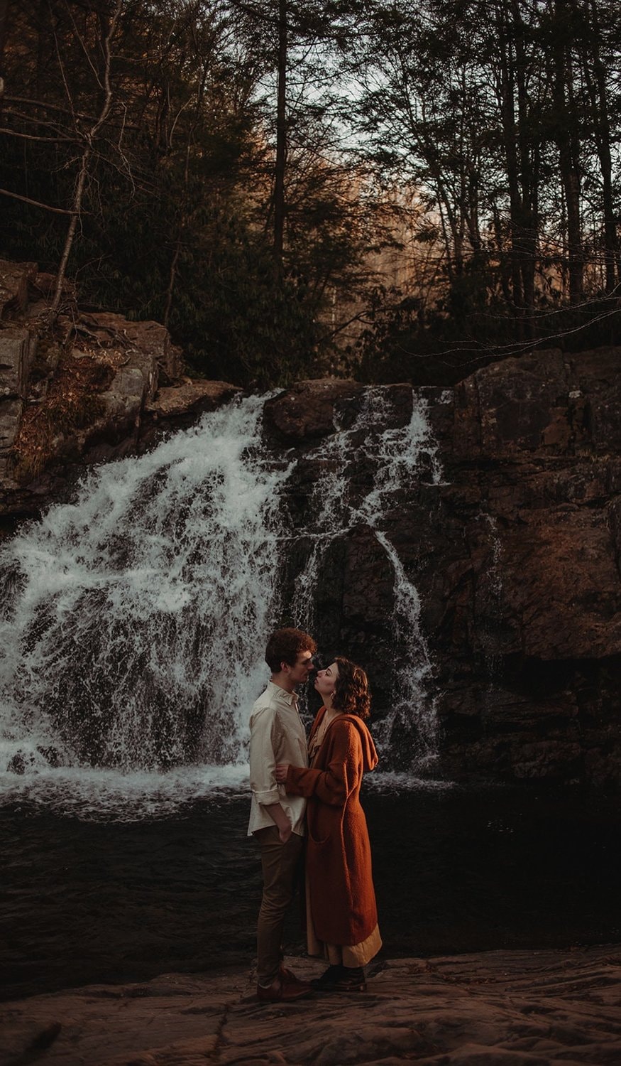 Indie Elephant wedding photograph — photo 2