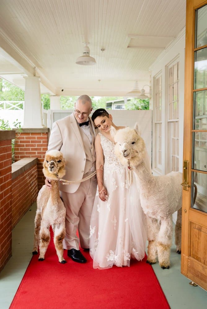 Photography by Lisa Hause Photography