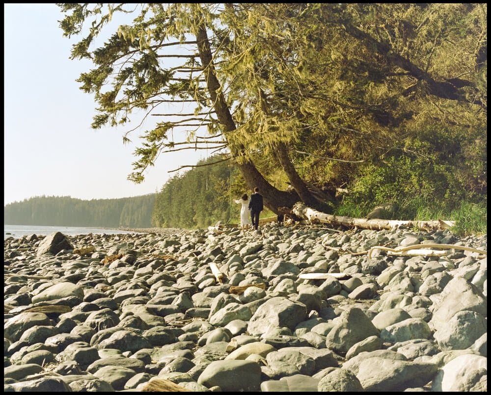 Photography by vicentiu photography