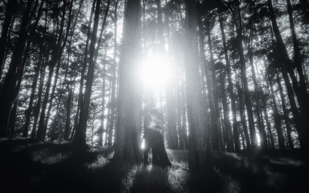 Photography by Shane O'Neill Wedding Photography