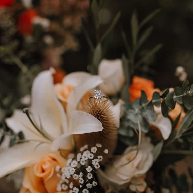 Photography by Oak and Owl Photography